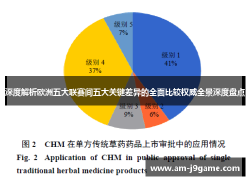 深度解析欧洲五大联赛间五大关键差异的全面比较权威全景深度盘点