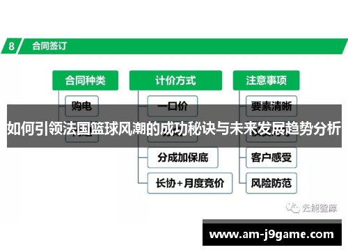 如何引领法国篮球风潮的成功秘诀与未来发展趋势分析