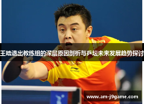 王皓退出教练组的深层原因剖析与乒坛未来发展趋势探讨