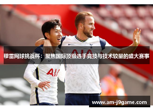 穆雷网球挑战杯：聚焦国际顶级选手竞技与技术较量的盛大赛事